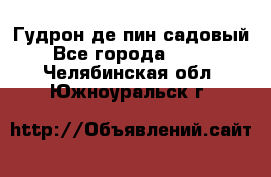 Гудрон де пин садовый - Все города  »    . Челябинская обл.,Южноуральск г.